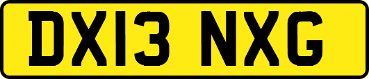 DX13NXG