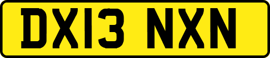 DX13NXN