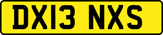 DX13NXS