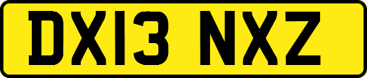 DX13NXZ