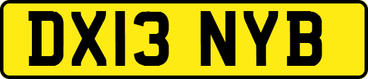 DX13NYB