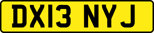 DX13NYJ