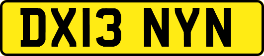 DX13NYN