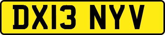 DX13NYV