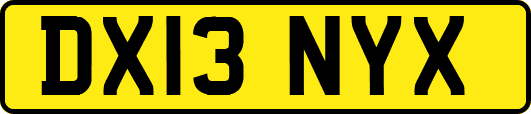 DX13NYX