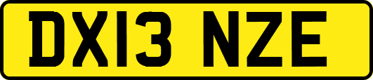 DX13NZE