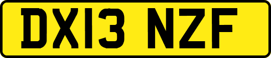 DX13NZF