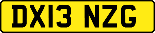 DX13NZG