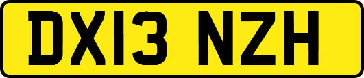 DX13NZH