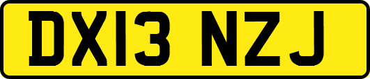 DX13NZJ