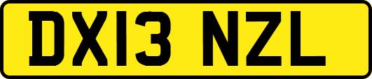 DX13NZL