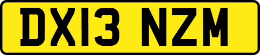 DX13NZM