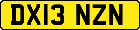 DX13NZN