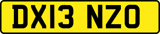 DX13NZO