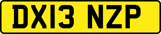 DX13NZP
