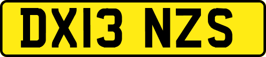 DX13NZS