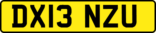 DX13NZU