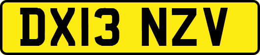 DX13NZV
