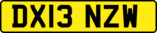 DX13NZW