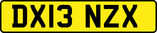 DX13NZX