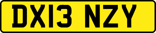DX13NZY