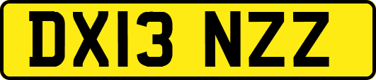 DX13NZZ