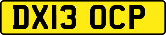 DX13OCP