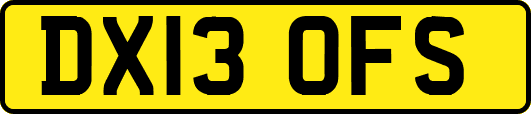 DX13OFS