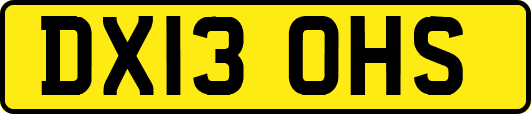 DX13OHS