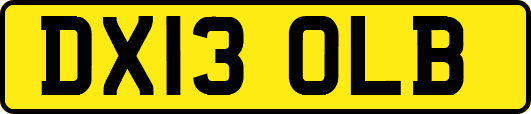 DX13OLB