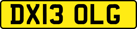 DX13OLG