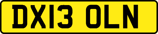 DX13OLN