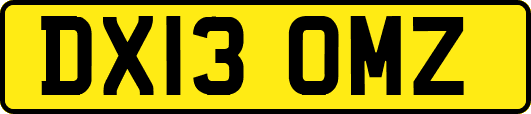 DX13OMZ
