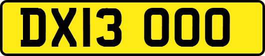 DX13OOO