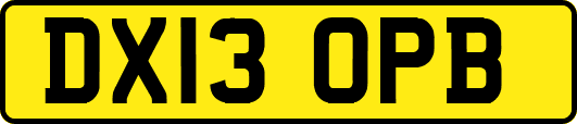 DX13OPB