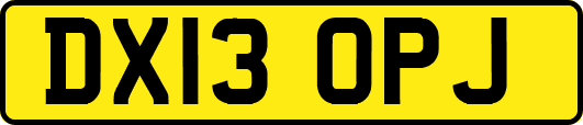 DX13OPJ