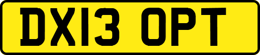 DX13OPT