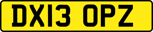 DX13OPZ