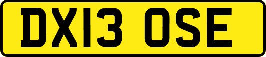 DX13OSE