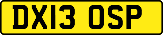 DX13OSP