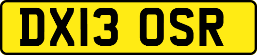DX13OSR