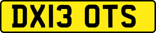 DX13OTS