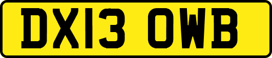 DX13OWB