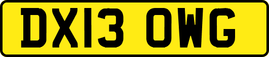 DX13OWG