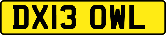 DX13OWL