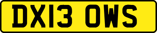 DX13OWS