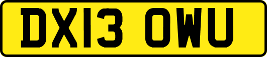 DX13OWU