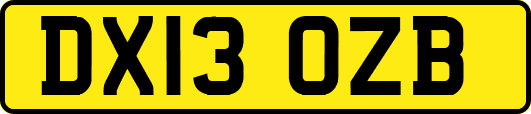 DX13OZB