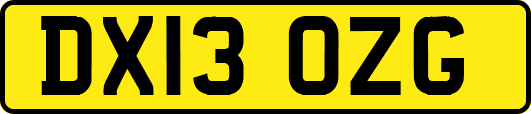 DX13OZG