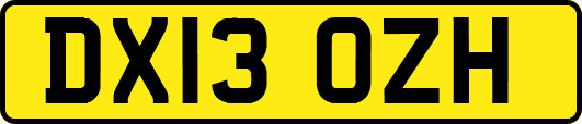 DX13OZH